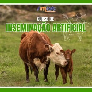 b19978fb-b5b1-4202-8354-dab742b29beb